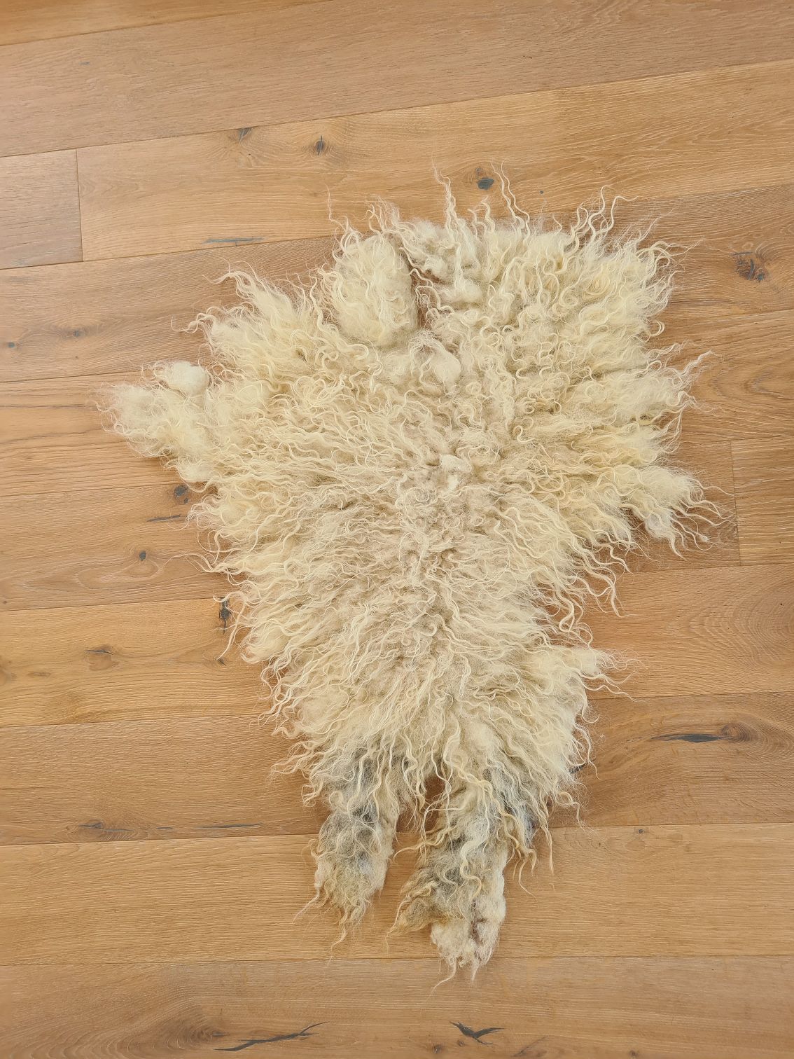 Sheep rug L001