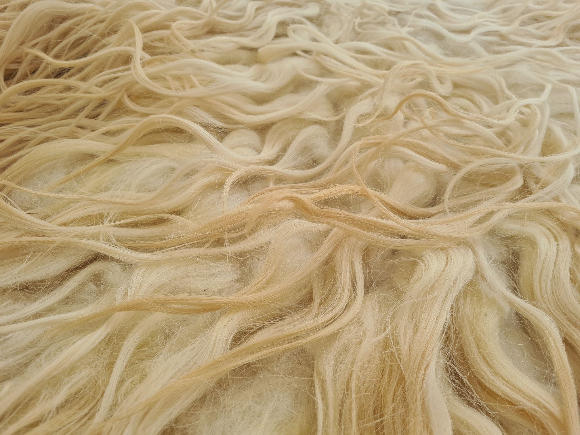 Sheep rug TAIL001